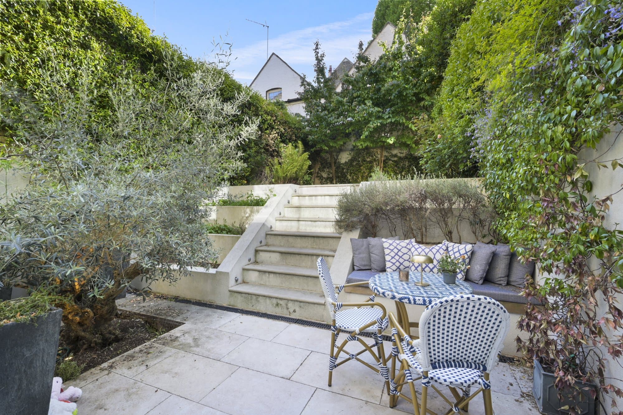 Walled garden terrace with olive planting